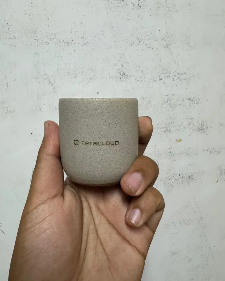 فنجان بلوجو Teracloud